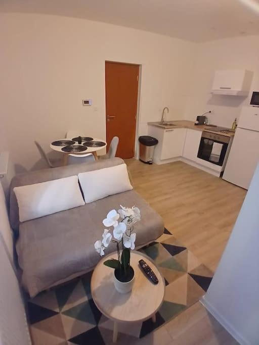 מולהאוס Appartement F1 Orchidee מראה חיצוני תמונה